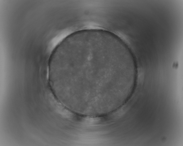 X0000113851269200910151203