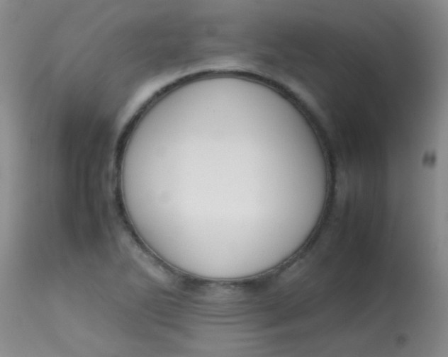 X0000113851270200910151203