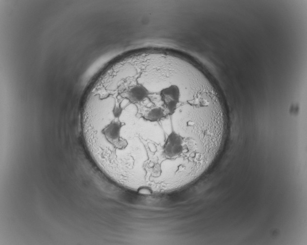 X0000113851271200910151203