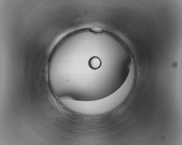 X0000113851272200910151203