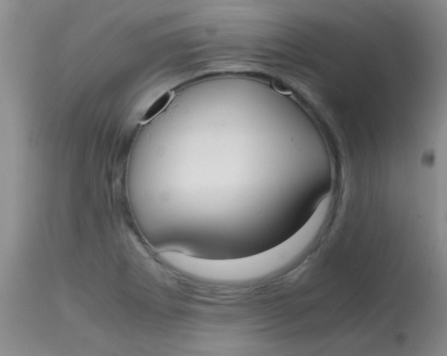 X0000113851273200910151203