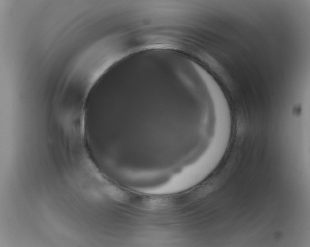 X0000113851274200910151203