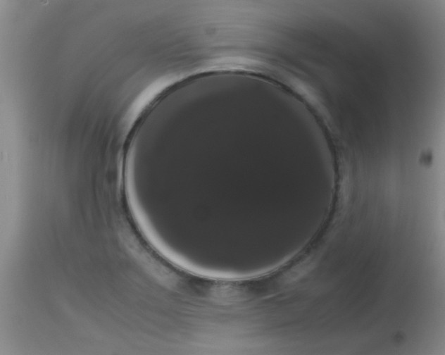 X0000113851275200910151203