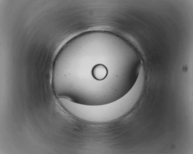 X0000113851276200910151203