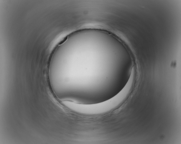 X0000113851277200910151203