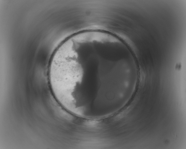 X0000113851278200910151203