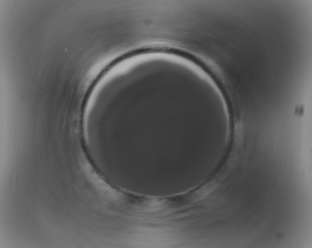 X0000113851279200910151203