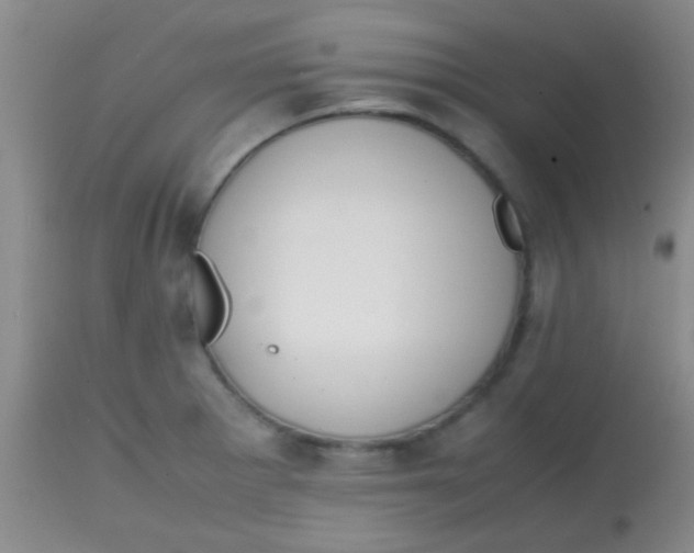 X0000113851281200910151203