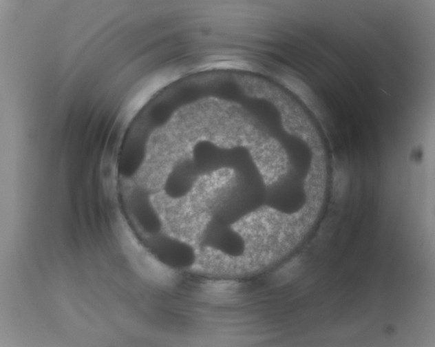 X0000113851282200910151203