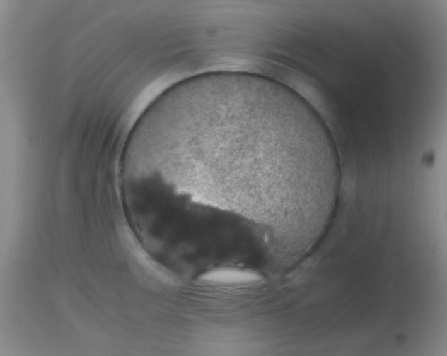 X0000113851283200910151203