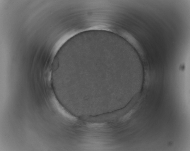 X0000113851284200910151203