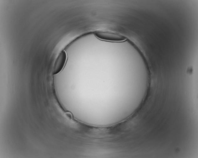 X0000113851285200910151203