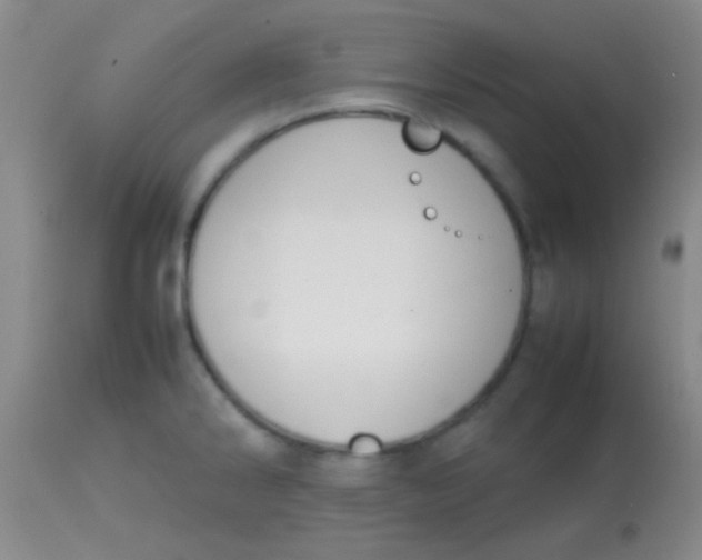 X0000113851286200910151203