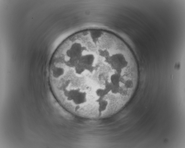 X0000113851287200910151203