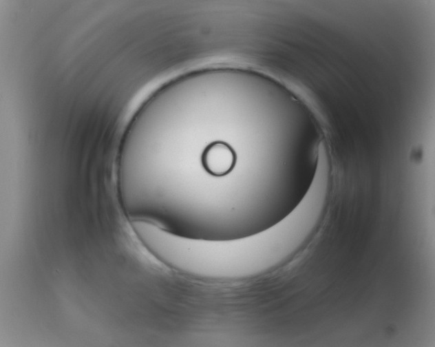 X0000113851288200910151203