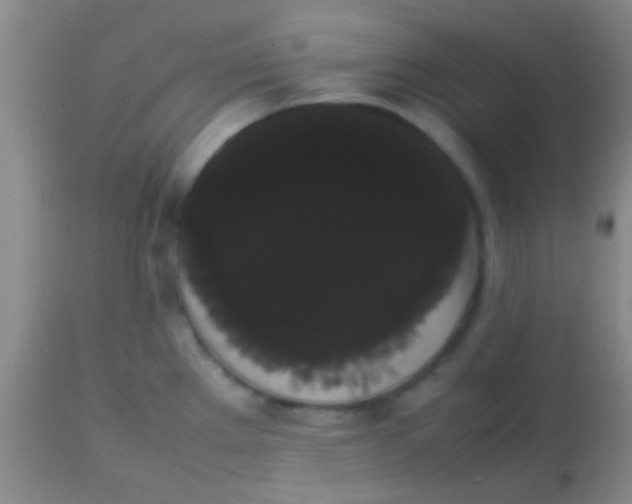 X0000113851289200910151202