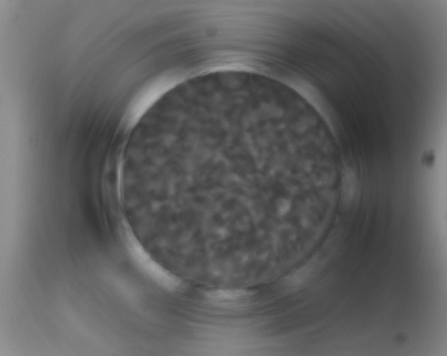 X0000113851290200910151202