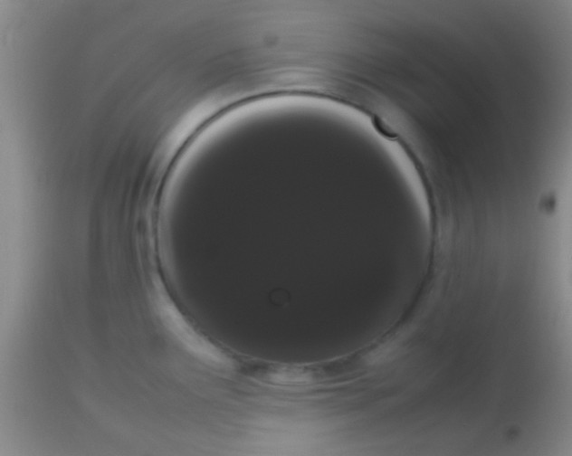 X0000113851291200910151202