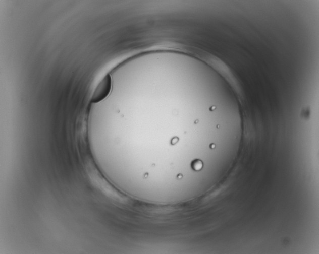 X0000113851292200910151202