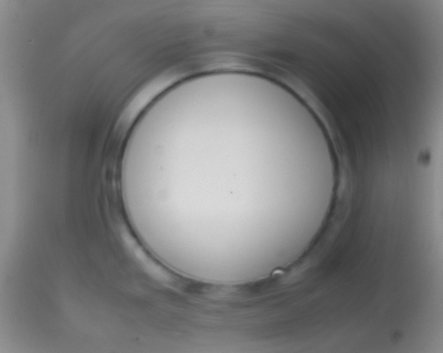 X0000113851293200910151202