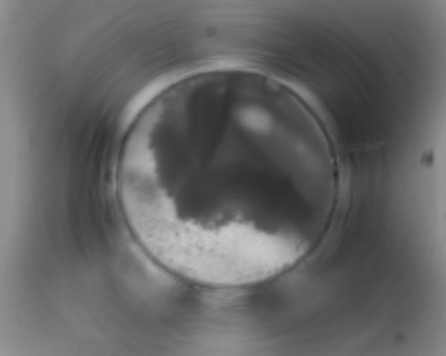 X0000113851294200910151202