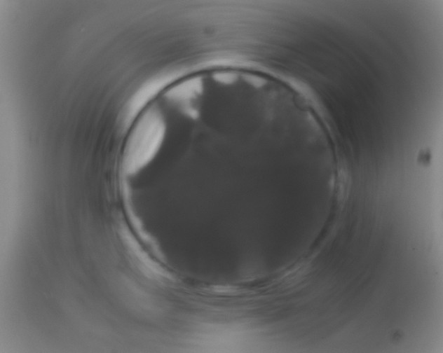 X0000113851295200910151202