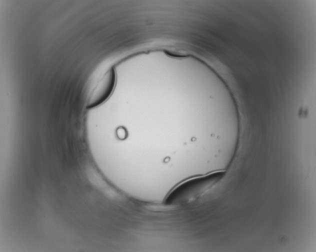 X0000113851296200910151202