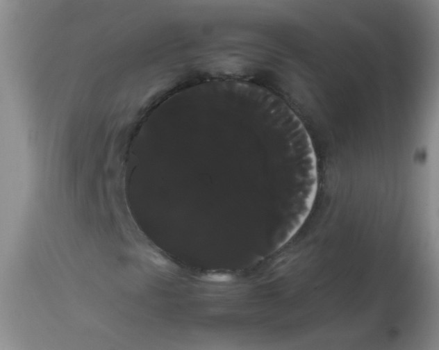 X0000113851297200910151202