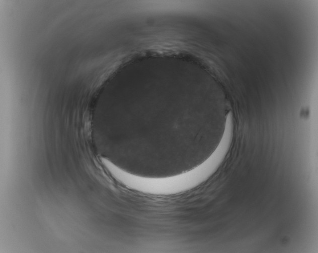 X0000113851298200910151202