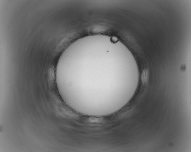 X0000113851299200910151202