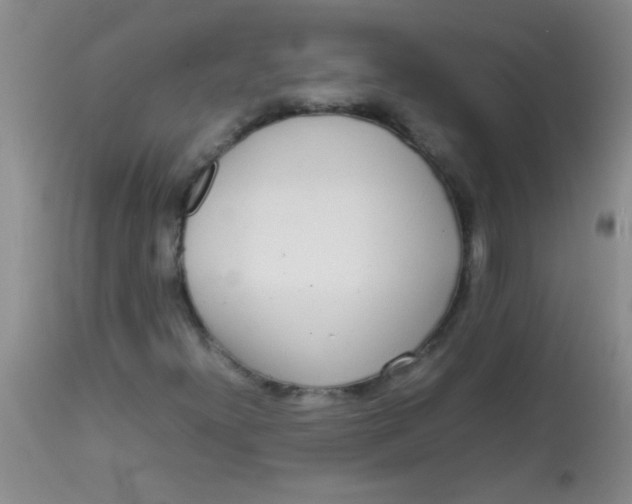 X0000113851300200910151202