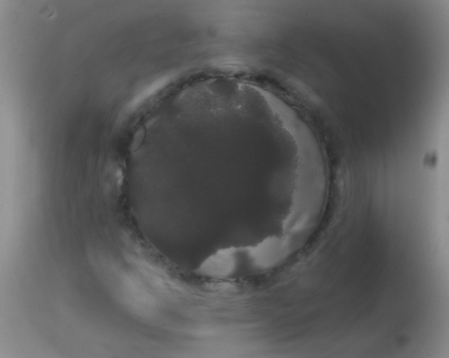 X0000113851302200910151202