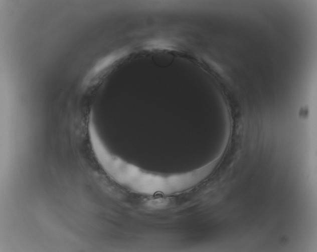 X0000113851303200910151202