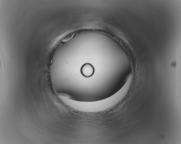 X0000113851304200910151202