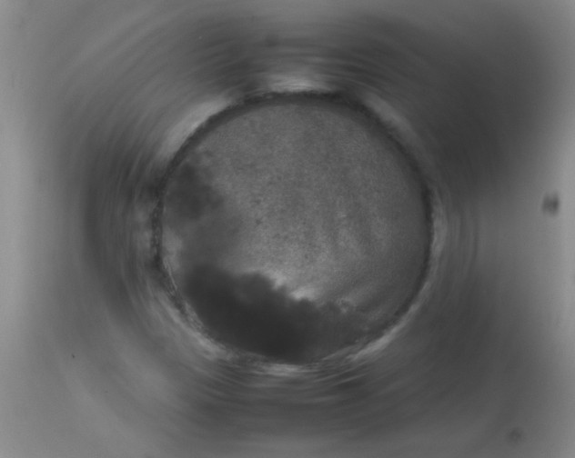 X0000113851305200910151202