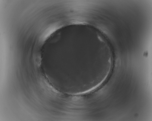 X0000113851306200910151202