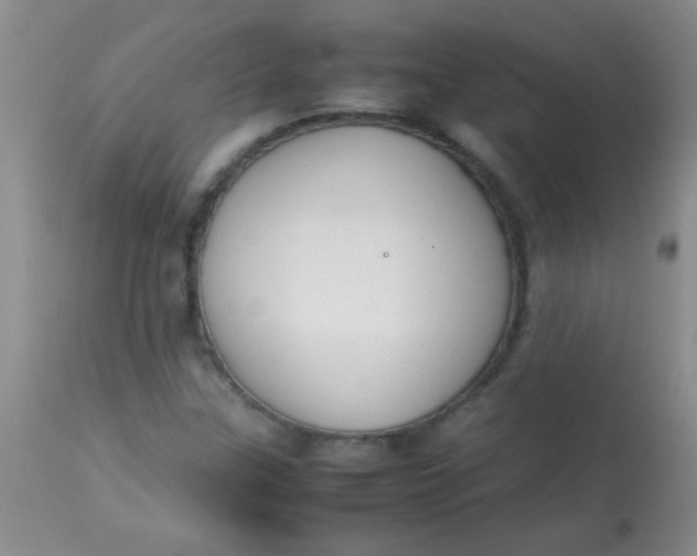 X0000113851307200910151202