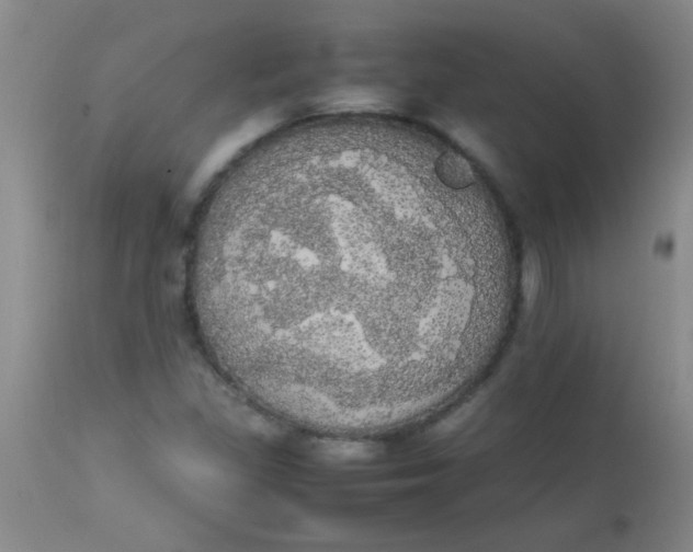 X0000113851309200910151202