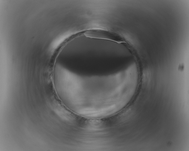 X0000113851310200910151202