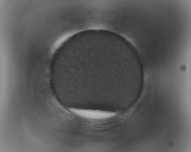 X0000113851311200910151202