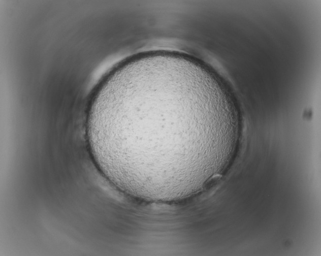 X0000113851312200910151202