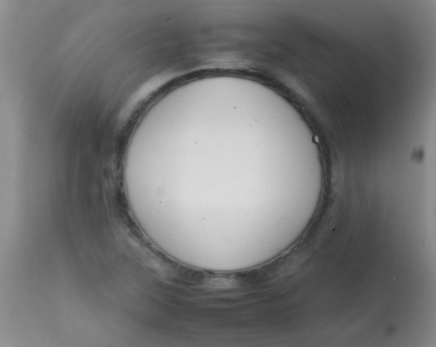 X0000113851315200910151202