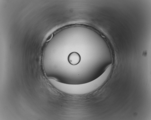 X0000113851316200910151202