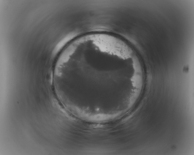 X0000113851317200910151202