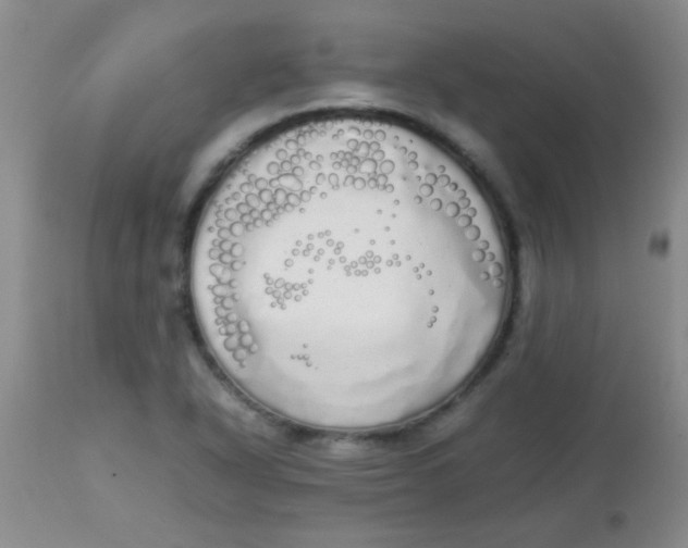 X0000113851318200910151202