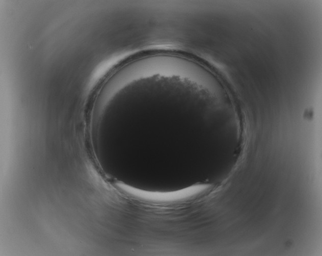 X0000113851319200910151202