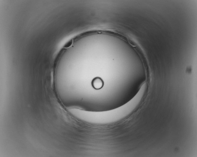 X0000113851320200910151202