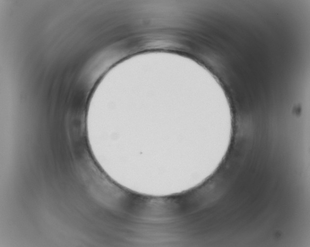 X0000113851322200910151202