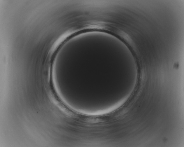 X0000113851323200910151202