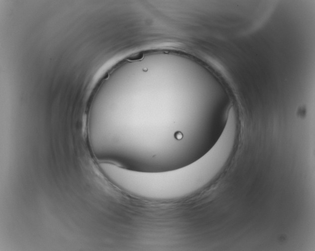 X0000113851324200910151202